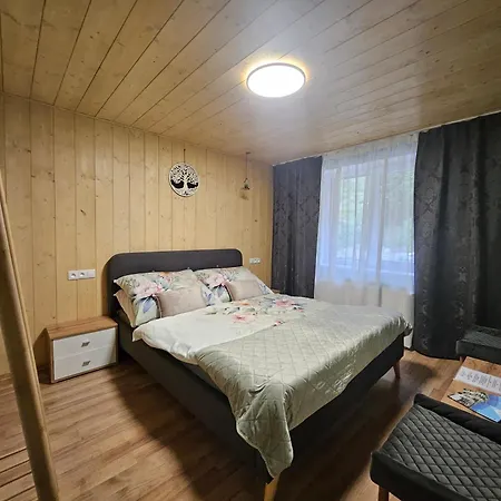 Wellness Toliar Tatry Gæstehus 3*