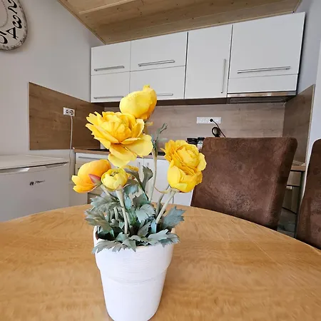 Wellness Toliar Tatry Gasthof