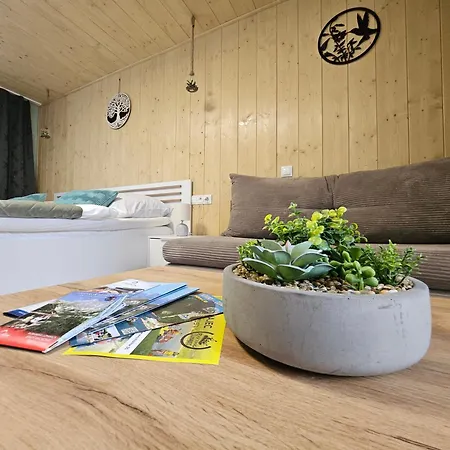 Wellness Toliar Tatry Gæstehus