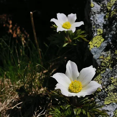 Wellness Toliar Tatry